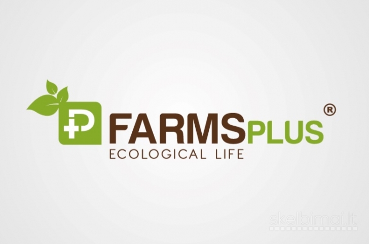 Profesonalus logotipų kūrimas
