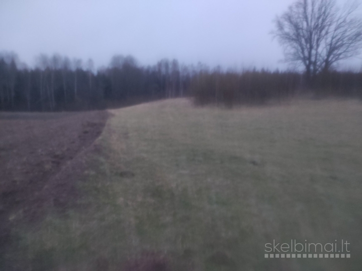 Parduodamas 0,78 ha sklypas Alytaus r.