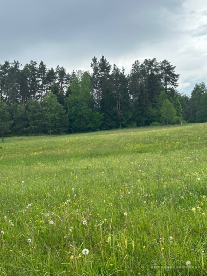 Parduodamas 0,3940 ha sklypas su giluminiais vandens gręžiniais Alytaus r. sav.