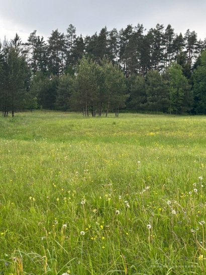 Parduodamas 0,3940 ha sklypas su giluminiais vandens gręžiniais Alytaus r. sav.