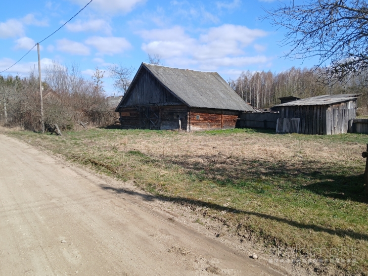 Sodyba miškų apsuptyje