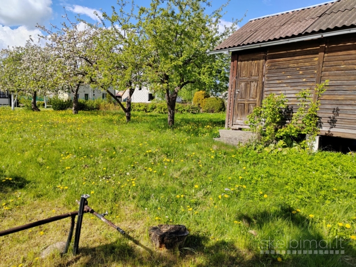 Sodas Šeškų k., Panevėžio r.sav.