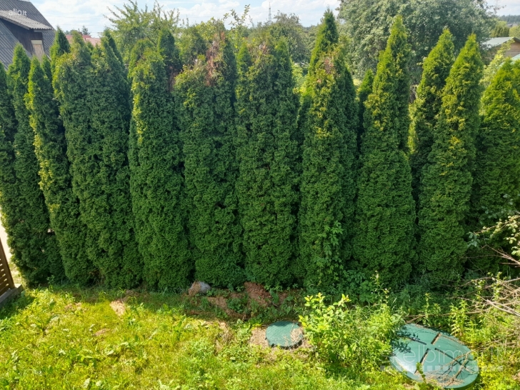 Parduodamas namas šalia Trakų