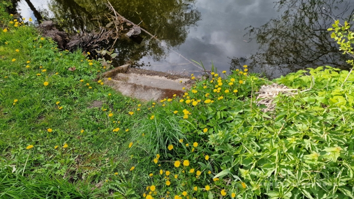 Parduodamas  SB “Šarmutas” sklypas su namuku Bendrijų g. 62, Panevėžyje.