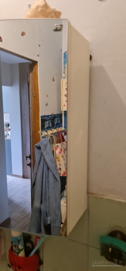 Vonios kambario baldai