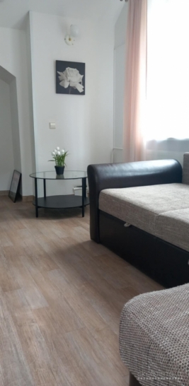 Išnuomojamas 1 kambario butas paromis Klaipėdos centre. H. Manto g. 4 