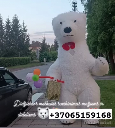 Didžiosios meškutės sveikinimai 