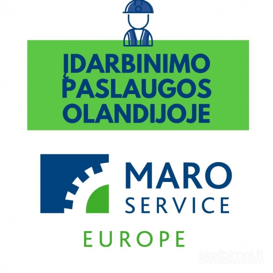 Darbas Olandijoje