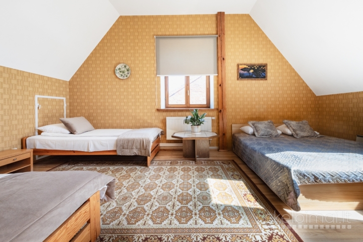 PIGI kambarių nuoma Klaipėdoje