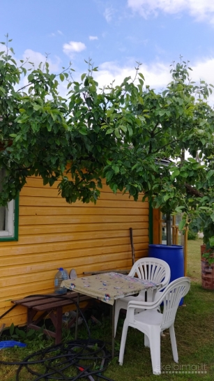 Sodas Mitkų k., Panevėžio r.sav.