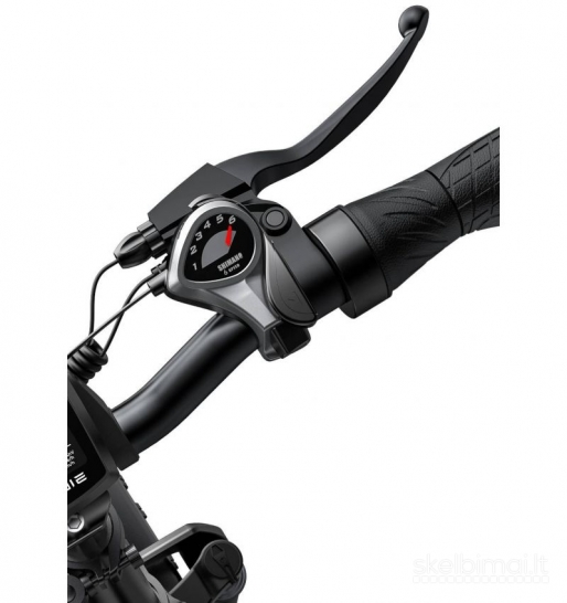 Elektrinis dviratis ENGWE EP-2 Pro 750W