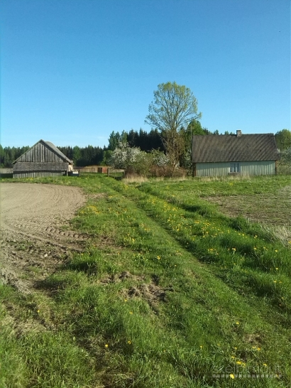 Sodyba-vienkiemis Biržų raj. +2 miškai