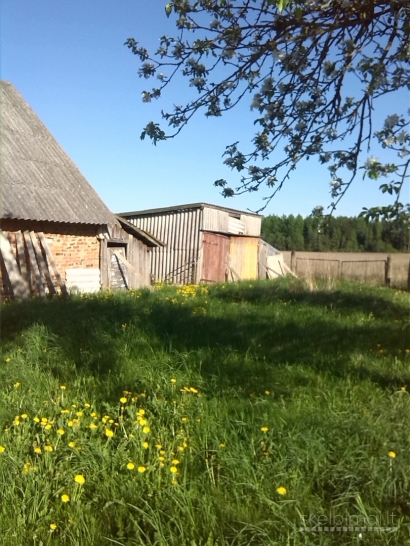 Sodyba-vienkiemis Biržų raj. +2 miškai