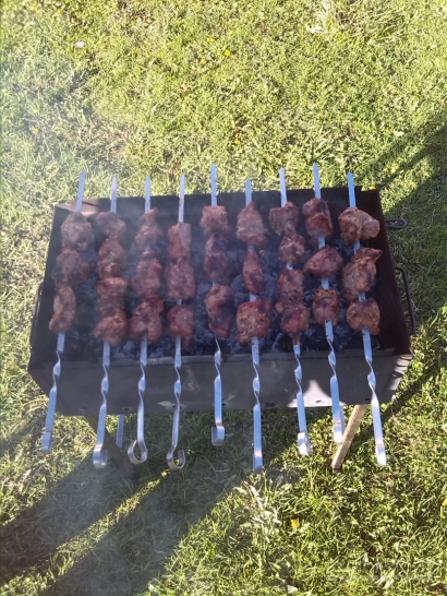 Sodyba-vienkiemis Biržų raj. +2 miškai