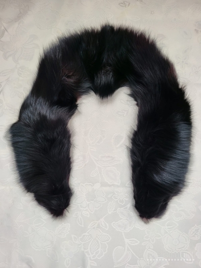 Apykaklė (-s)