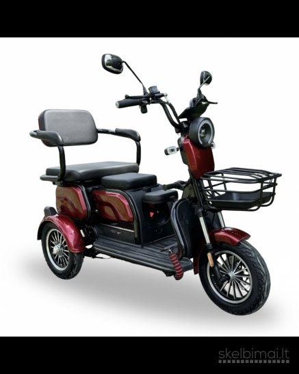 PARDUODAMAS  2024 m. GAMYBOS ELEKTRINIS TRIRATIS SL-04