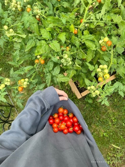 Patirk kaimo gyvenimą – pramoga ir pagalba kasdieniuose darbuose!