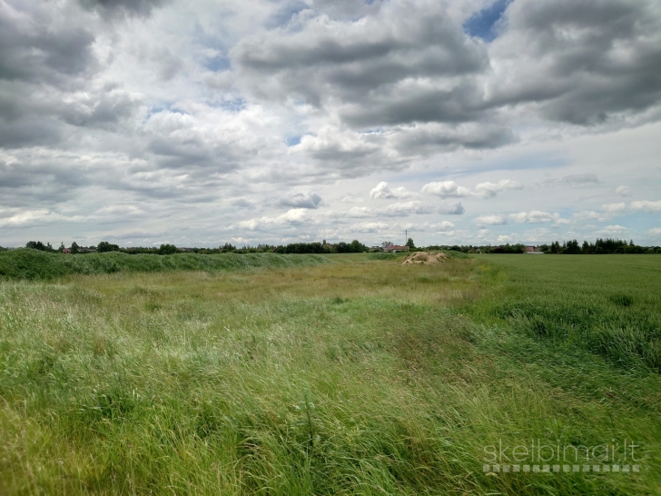 Parduodamas pigiai 1,67 ha žemės sklypas