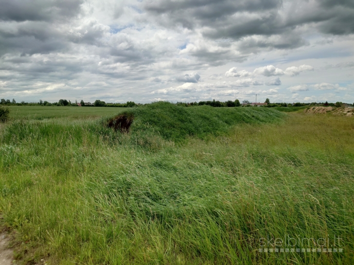 Parduodamas pigiai 1,67 ha žemės sklypas