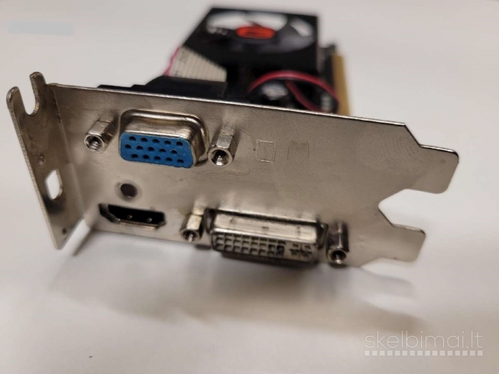 GT610; 310; 210; HD 5750; N9600; Ati X1300 ir AGP: tinklas ir daug
