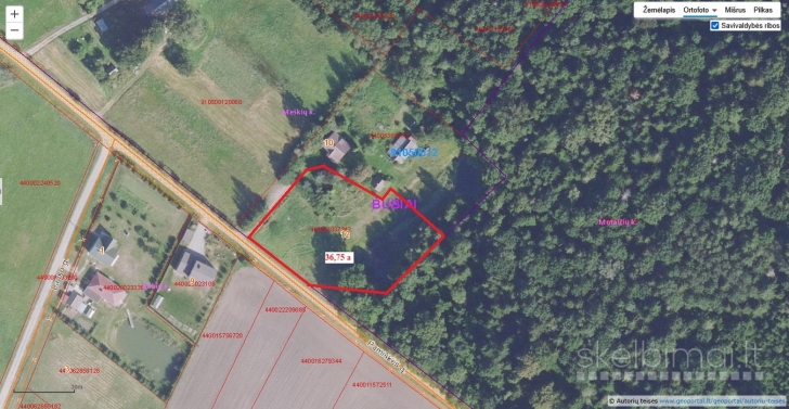 Parduodamas labai gražioje vietoje su kūdra 36,75 a žemės sklypas