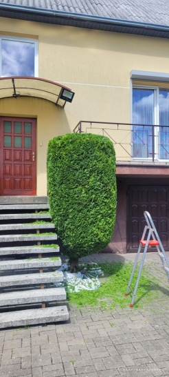 Kerpu,zeminu, formuoju tujas bei gyvatvores