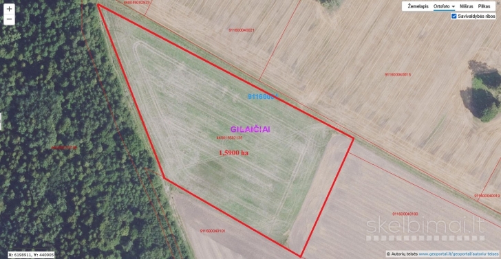 Parduodamas labai geroje vietoje 1,5900 ha žemės sklypas