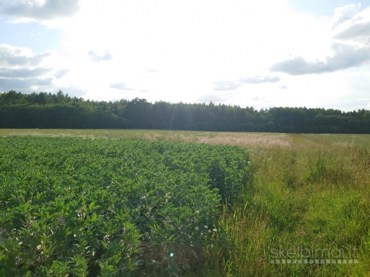 Parduodamas labai geroje vietoje 1,5900 ha žemės sklypas