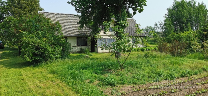 Sodyba šalia Upytės, Panevėžio r.sav.