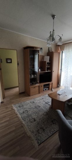 Tvarkingas dviejų kambarių butas 