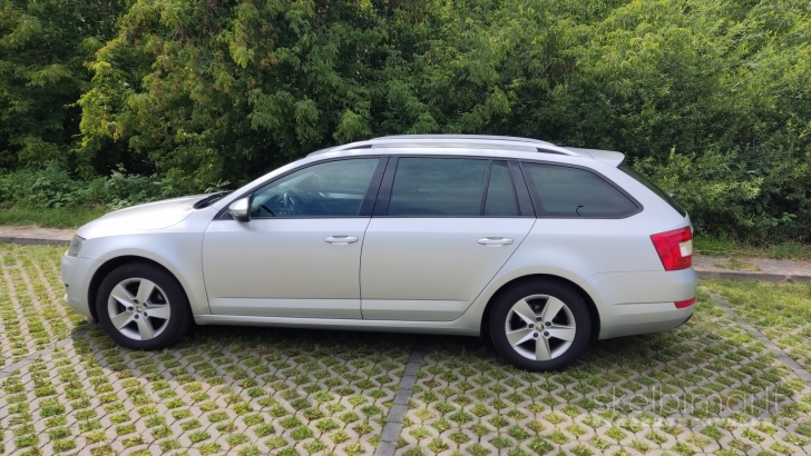 Automobilio nuoma su vairuotoju tel:+37064314115