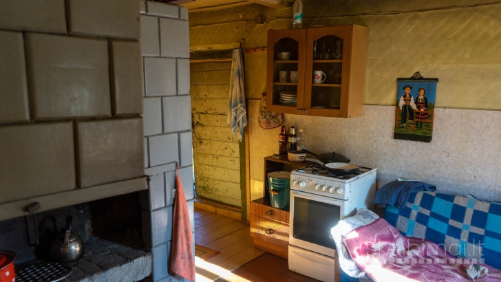 Vienkiemis miške netoli ežero prie Dūsetų, su tvenkiniu