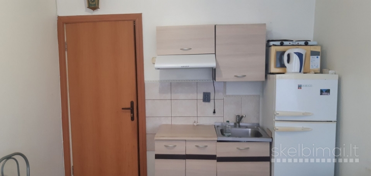 Buto nuoma prie Vėtrungės 250 Eur