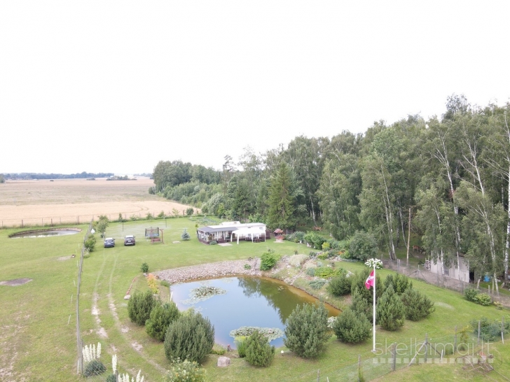 Parduodamas išskirtinio grožio 13,16 ha sklypas su elniais