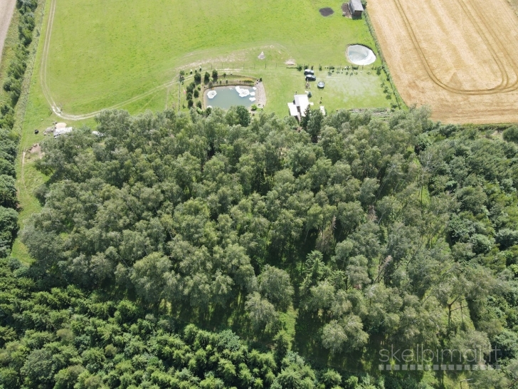 Parduodamas išskirtinio grožio 13,16 ha sklypas su elniais
