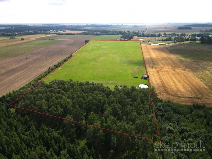 Parduodamas išskirtinio grožio 13,16 ha sklypas su elniais