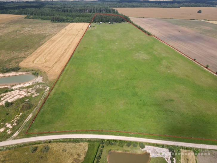 Parduodamas išskirtinio grožio 13,16 ha sklypas su elniais