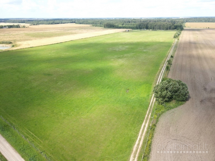 Parduodamas išskirtinio grožio 13,16 ha sklypas su elniais