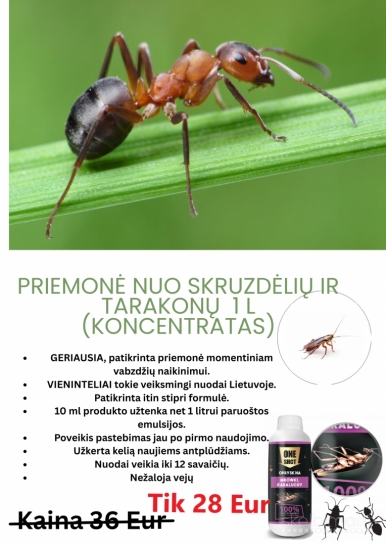 Priemonė nuo skruzdėlių ir tarakonų ONE SHOT 1 l (koncentratas)
