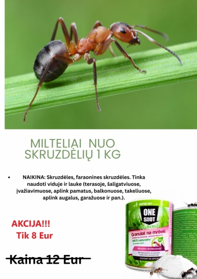 Priemonė nuo skruzdėlių 1kg 