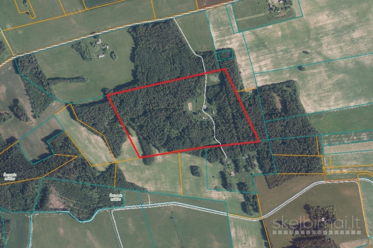 16,33 ha žemės – miško sklypas Kupiškio r.