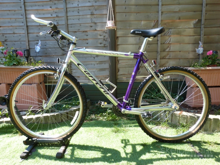 CARRERA Gravity Mountain Bike. 26''ratai. 20''remas.21 begis