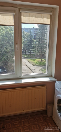 Vieno kambario butas Panevėžio m.