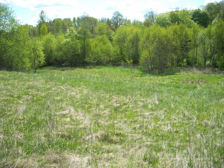 Parduodu tris sklypus.