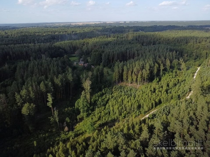9.8287 ha miško sklypas Kauno r.