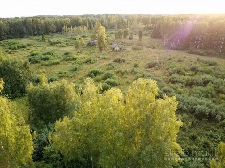 PARDUODAMAS VIENKIEMIS ROKIŠKIO R. SAV., KRIAUNŲ SEN., RUKELIŲ K.