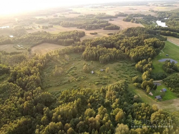 PARDUODAMAS VIENKIEMIS ROKIŠKIO R. SAV., KRIAUNŲ SEN., RUKELIŲ K.