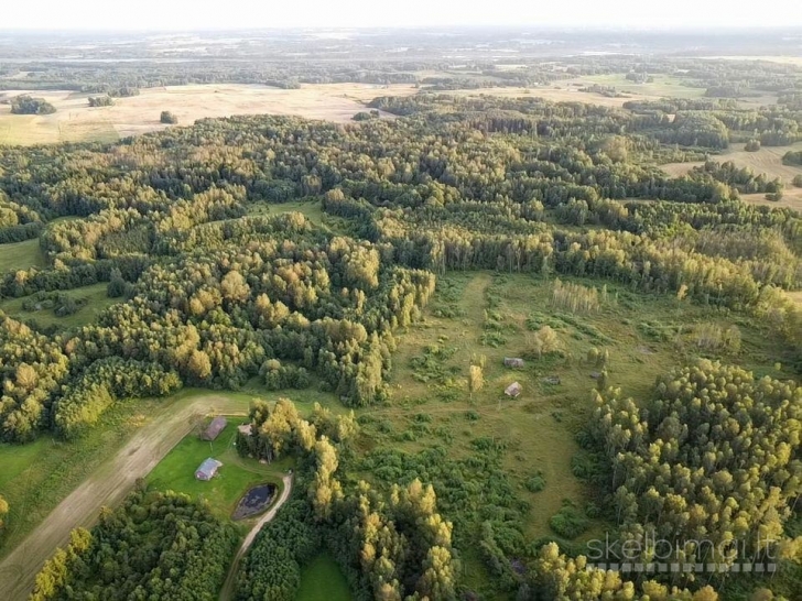 PARDUODAMAS VIENKIEMIS ROKIŠKIO R. SAV., KRIAUNŲ SEN., RUKELIŲ K.