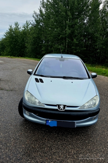 Peugeot 206 Automatas