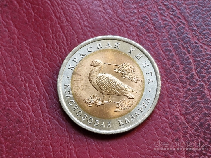 Rusija 10 rublių, 1992 Y# 307 Rudakaklė berniklė